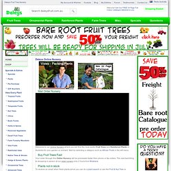 Buy Fruit Trees Online : Daleys Online Nursery