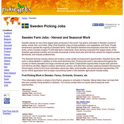 Fruit Picking Jobs Sweden