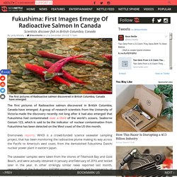Fukushima: First Images Emerge Of Radioactive Salmon In Canada
