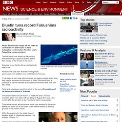 Bluefin tuna record Fukushima radioactivity