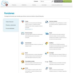 Funciones del servicio de atención y ayuda al cliente - salesforce.com Latin America