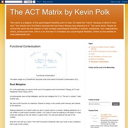 Kevin Polk's ACT - the Matrix: Functional Contextualism