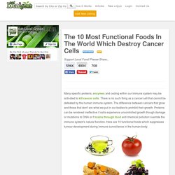 The 10 Most Functional Foods In The World Which Destroy Cancer Cells