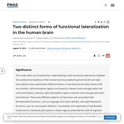 Two distinct forms of functional lateralization in the human brain