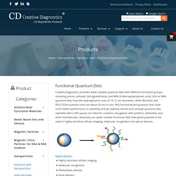 Functional Quantum Dots