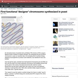 First functional 'designer' chromosome synthesized in yeast