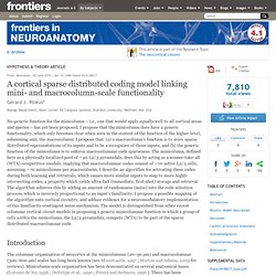 A cortical sparse distributed coding model linking mini- and macrocolumn-scale functionality