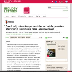 Functionally relevant responses to human facial expressions of emotion in the domestic horse (Equus caballus)