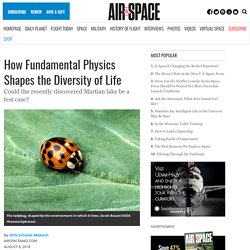 How Fundamental Physics Shapes the Diversity of Life