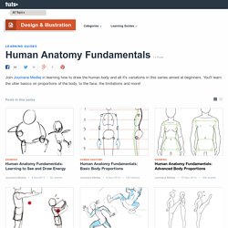 Human Anatomy Fundamentals - Tuts+ Design & Illustration Tutorials