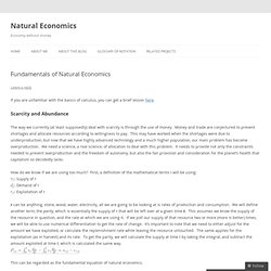 Fundamentals of Natural Economics