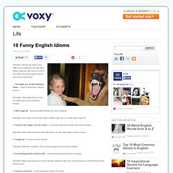 10 Funny English Idioms - Voxy Blog
