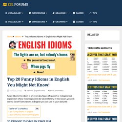 Top 20 Funny Idioms in English You Might Not Know! - ESL Forums