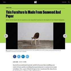 This Furniture Is Made From Seaweed And Paper