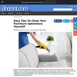 Easy Tips To Clean Your Furniture Upholstery Yourself