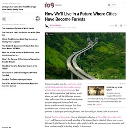 How We'll Live in a Future Where Cities Have Become Forests