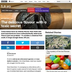 Future - The delicious flavour with a toxic secret
