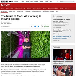 The future of food: Why farming is moving indoors
