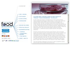 Future Food - In Vitro Meat