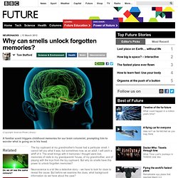 Future - Science & Environment - Why can smells unlock forgotten memories?