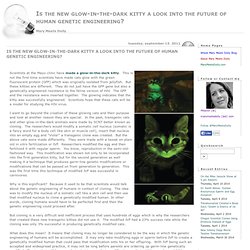 Is the new glow-in-the-dark kitty a look into the future of human genetic engineering? - Mary Meets Dolly