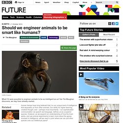 Should we engineer animals to be smart like humans?