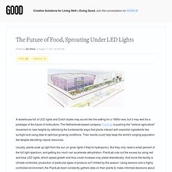The Future of Food, Sprouting Under LED Lights - Lifestyle