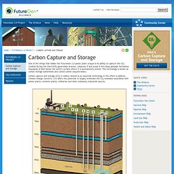 FutureGen Alliance » Carbon Capture and Storage