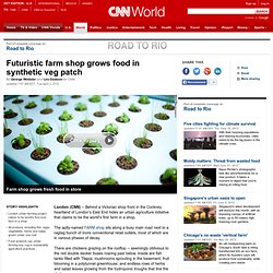 Futuristic farm shop grows food in synthetic veg patch