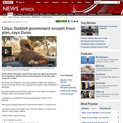 Libya: Gaddafi government accepts peace plan, says Zuma