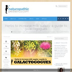 Herbs to increase milk supply: a guide to galactogogues - Naturopathic PediatricsNaturopathic Pediatrics