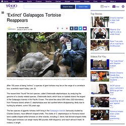 'Extinct' Galapagos Tortoise Reappears