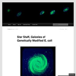 Star Stuff, Galaxies of Genetically Modified E. coli