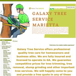 Galaxy Tree Service Marietta, GA