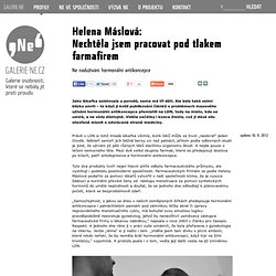 Galerie NE - Helena Máslová : Nechtěla jsem pracovat pod tlakem farmafirem