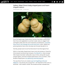 Gallery: Meet China's baby-shaped pears and heart-shaped melons