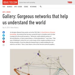 Gallery: How networks help us understand the world