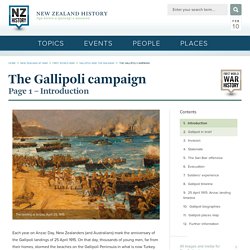 The Gallipoli campaign - The Gallipoli campaign