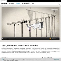 1797, Galvani et l’électricité animale - Corpus - réseau Canopé (2'42)