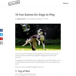 15 Fun Games for Dogs to Play