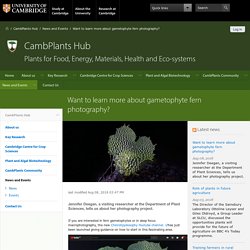 Want to learn more about gametophyte fern photography? — CambPlants Hub