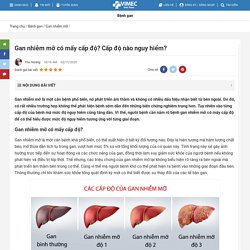 Gan Nhiễm Mỡ Có Mấy Cấp Độ? Cấp Độ Nào Nguy Hiểm?