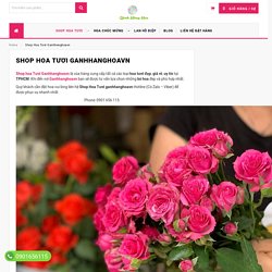 Shop Hoa Tươi Ganhhanghoavn - Đặt Hoa Online Đẹp, Giá Rẻ Tại TPHCM