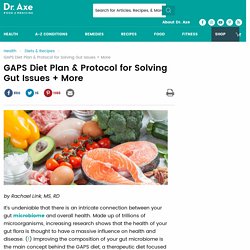 GAPS Diet Plan and Protocol