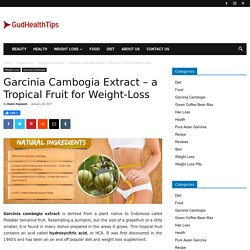 Garcinia Cambogia Extract - Fruit for Weight-Loss