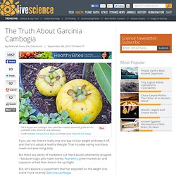 The Truth About Garcinia Cambogia
