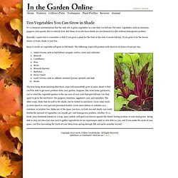 In the Garden Online - Colleen's Picks - Ten Vegetables You Can Grow in Shade