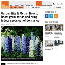 Garden Hits & Myths: How to boost germination and bring indoor seeds out of dormancy