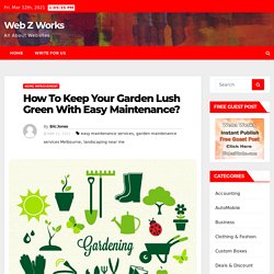 How To Keep Your Garden Lush Green With Easy Maintenance? – Web Z Works