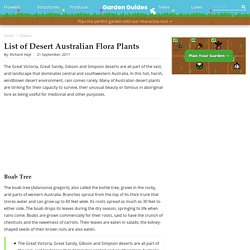 List of Desert Australian Flora Plants